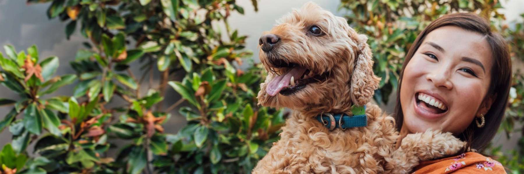 Porcelain Veneers | Dentist